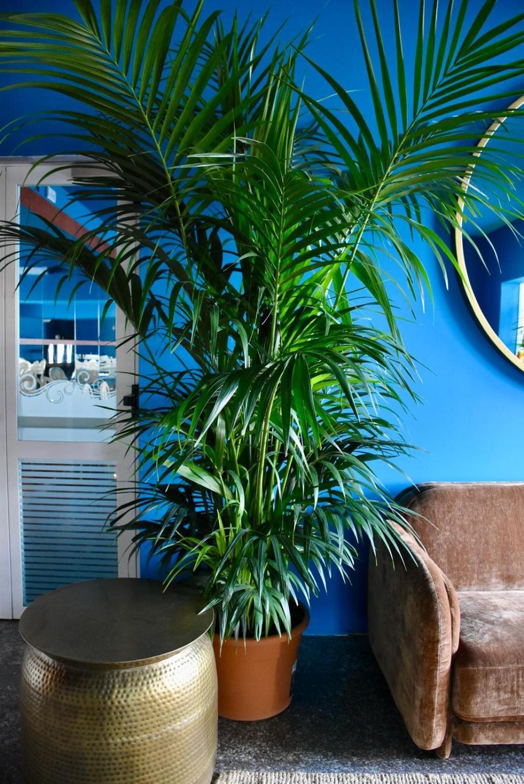 Hotel Portofino ลิโดดิเยโซโล ภายนอก รูปภาพ