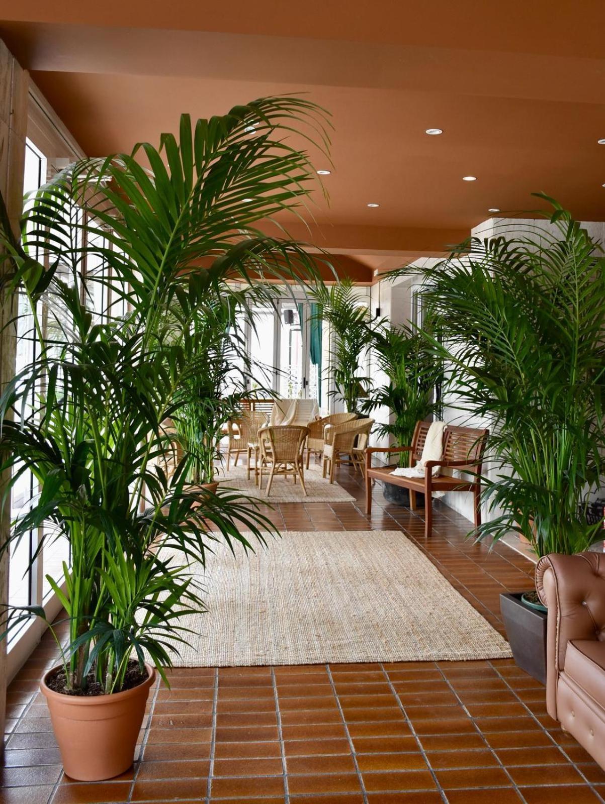 Hotel Portofino ลิโดดิเยโซโล ภายนอก รูปภาพ